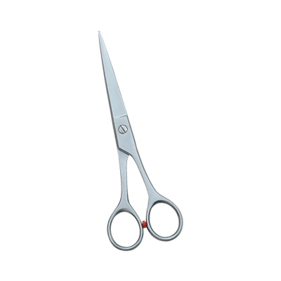 Barber Scissor