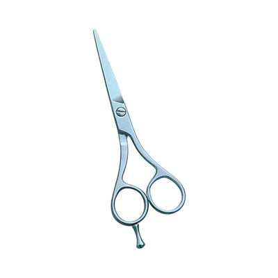 Barber Scissor
