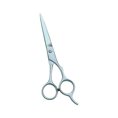Barber Scissor