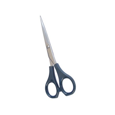 Barber Scissor