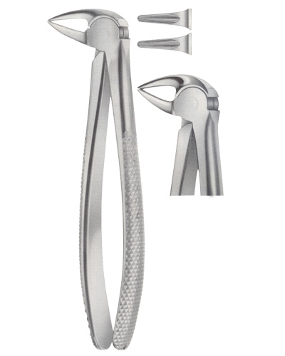 Extracting Forceps American pattern