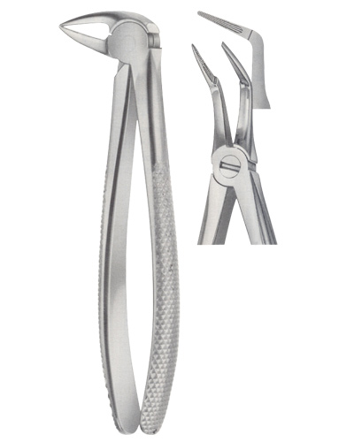 Extracting Forceps American pattern