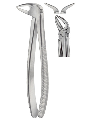 Extracting Forceps American pattern