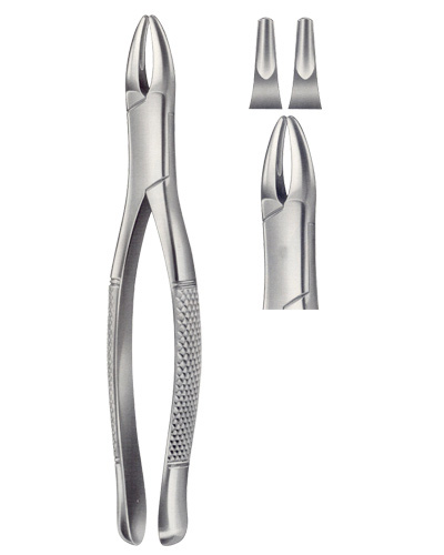 Extracting Forceps American pattern