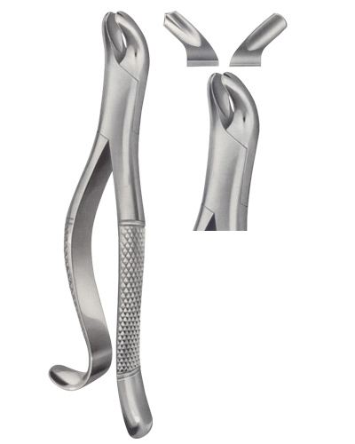 Extracting Forceps American pattern