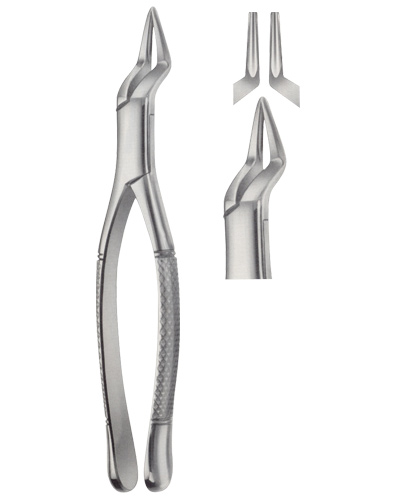 Extracting Forceps American pattern