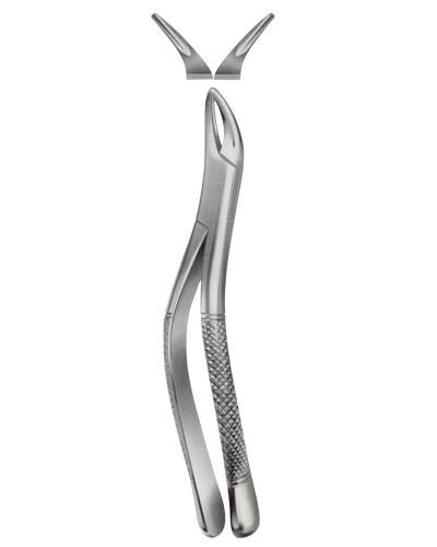 Extracting Forceps American pattern