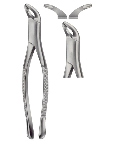 Extracting Forceps American pattern