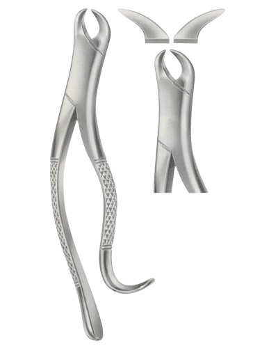 Extracting Forceps American pattern