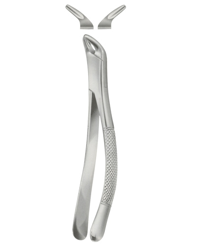 Extracting Forceps American pattern