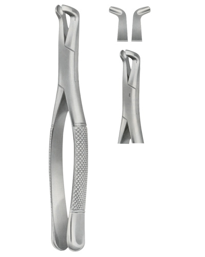 Extracting Forceps American pattern