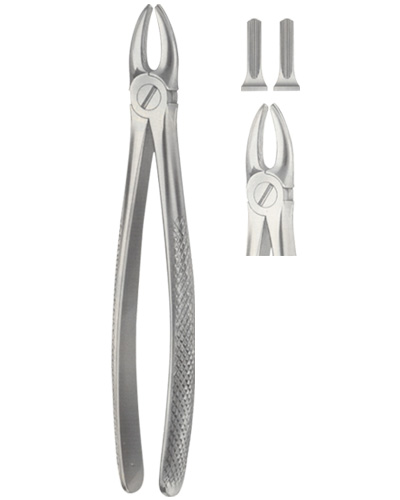 Extracting Forceps American pattern
