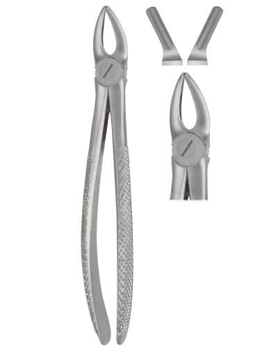 Extracting Forceps American pattern