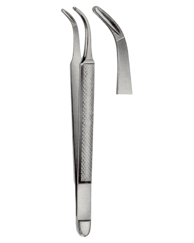 Instruments for Root Fragments