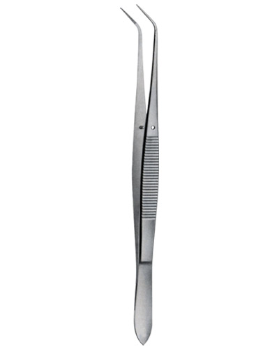 Tooth Tweezers