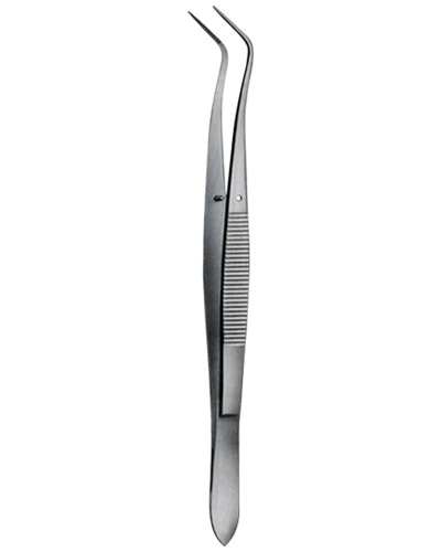 Tooth Tweezers