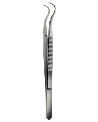 Tooth Tweezers