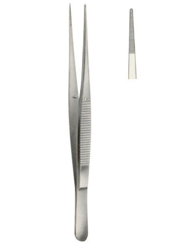 Dissecting Forceps 