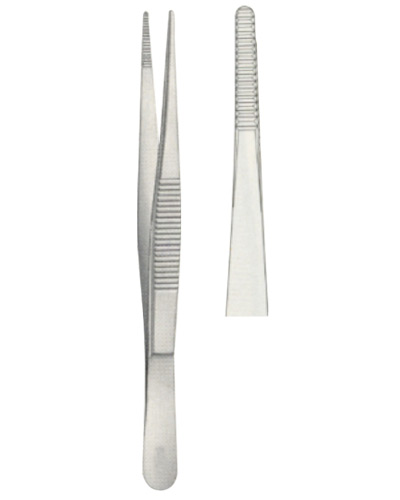 Dissecting Forceps 
