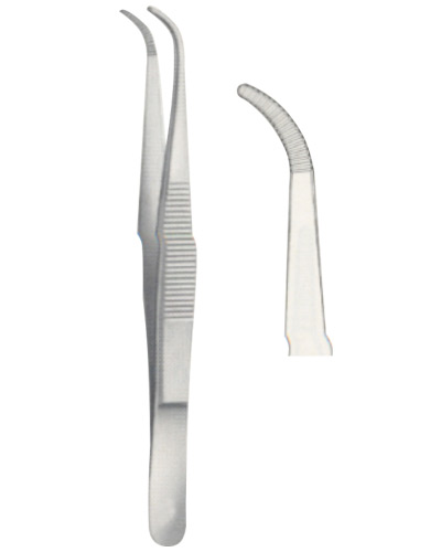 Dissecting Forceps 