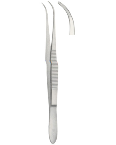 Tissue Forceps 