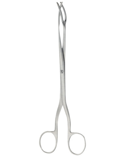 SteAIlizing Forceps for Picking Up and holding of SteAIle Inst