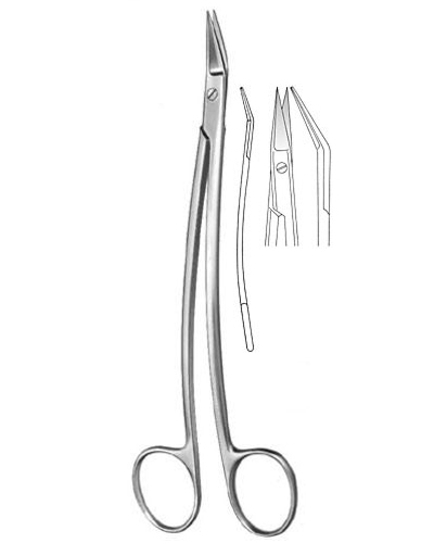 Tonsil Scissors