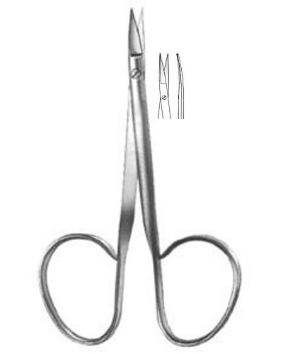 Dissecting Scissors