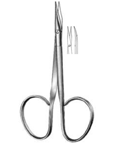 Dissecting Scissors