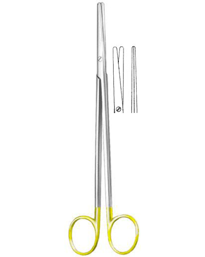 Dissecting Scissors