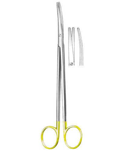 Dissecting Scissors