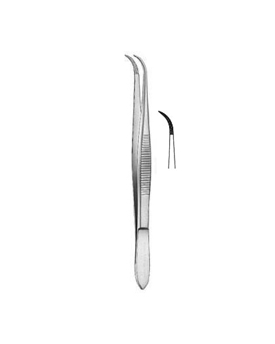 Dressing Forceps
