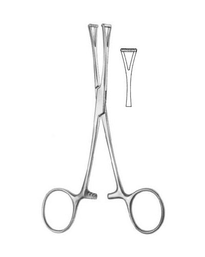 Organ Grasping Forceps
