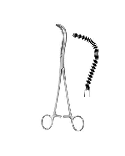 Kidney Pedicle Clamps