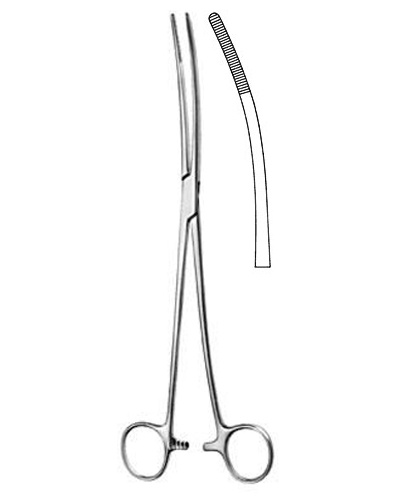 Sponge Forceps