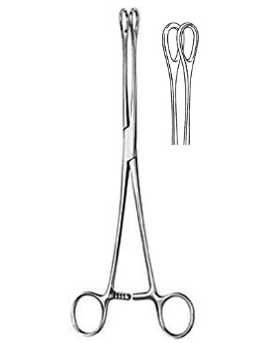 Sponge Forceps