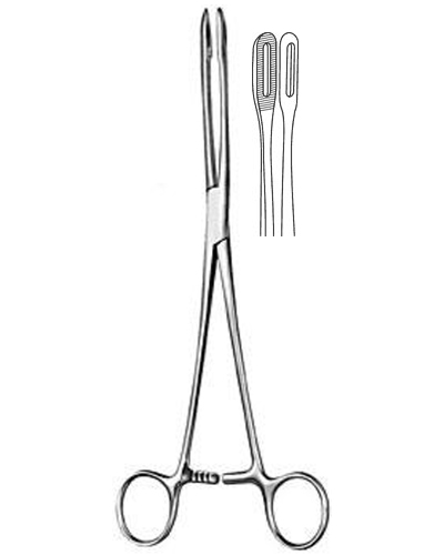 Sponge Forceps