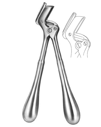 Plaster Shears