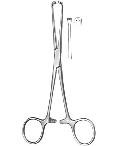 Tendon Holding Forceps