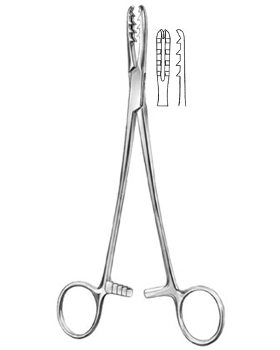 Cartilage Seizing Forceps