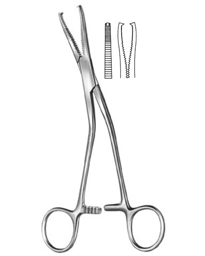 Cartilage Seizing Forceps