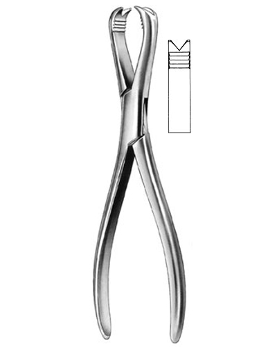 Bone Holding Forceps