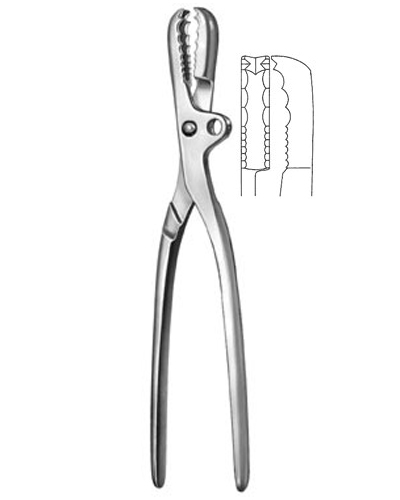 Bone Holding Forceps