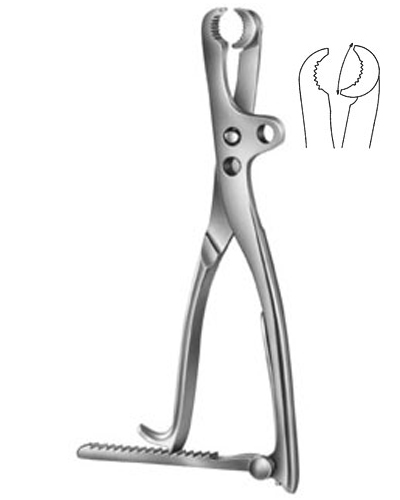 Bone Holding Forceps