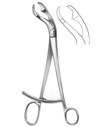 Bone Holding Forceps