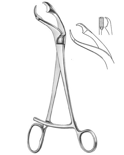 Bone Holding Forceps
