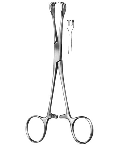Goitre Grasping Forceps