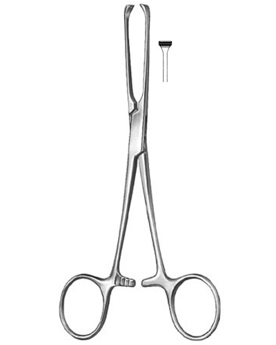 Intestinal and Tissue Grasping Forceps