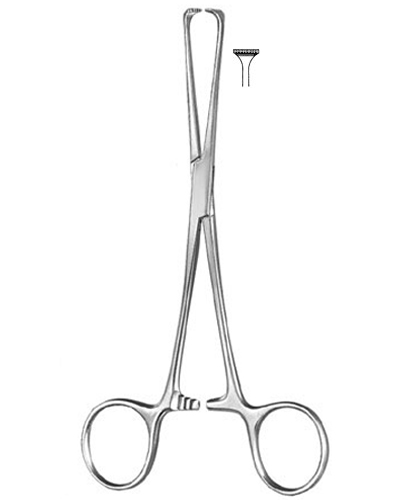 Intestinal and Tissue Grasping Forceps