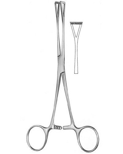 Intestinal and Tissue Grasping Forceps